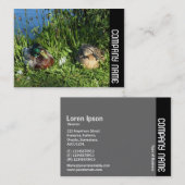 Side Band - Mr en Mrs Mallard Visitekaartje (Voorkant / Achterkant)