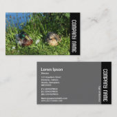 Side Band - Mr en Mrs Mallard Visitekaartje (Voorkant / Achterkant)