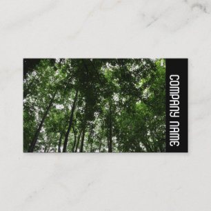 Side Band - Woodland Canopy 01 Visitekaartje