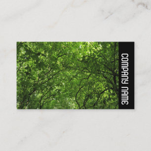 Side Band - Woodland Canopy Visitekaartje