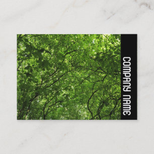 Side Band - Woodland Canopy Visitekaartje