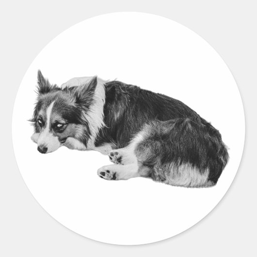 Side-Eye Corgi Fun Ronde Sticker (Voorkant)