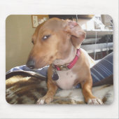 Side Eye Dog Meme Muismat (Voorkant)