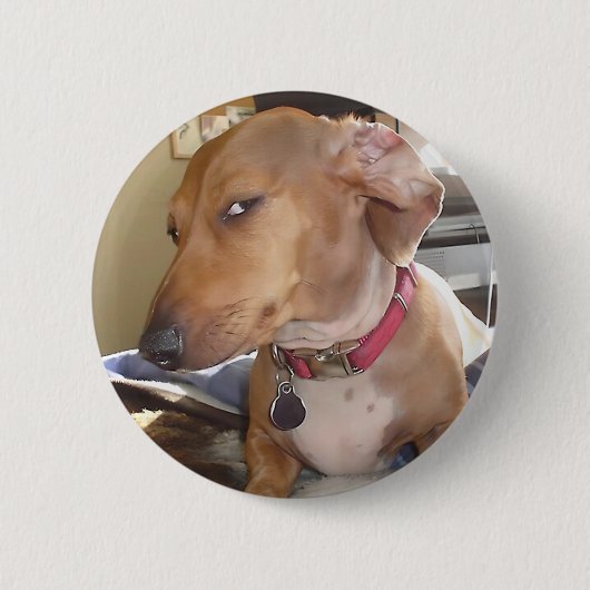 Side Eye Dog Meme Pin Button (Voorkant)