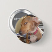 Side Eye Dog Meme Pin Button (Voorkant /achterkant)