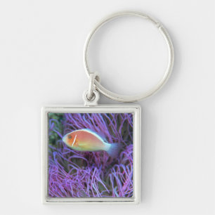 Side uitzicht of a roze anemone fish, Okinawa, Jap Sleutelhanger