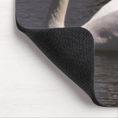 Sideview Male Swan Muismat (Hoek)