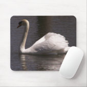 Sideview Male Swan Muismat (Met muis)