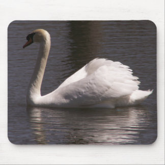 Sideview Male Swan Muismat