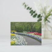 Sidewalk-route door tulpen en daffodils; briefkaart (Staand voorkant)