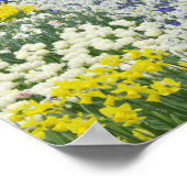 Sidewalk-route door tulpen en daffodils; poster (Hoek)