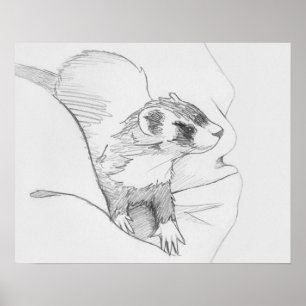 "Siduri" Ferret Drawing Poster