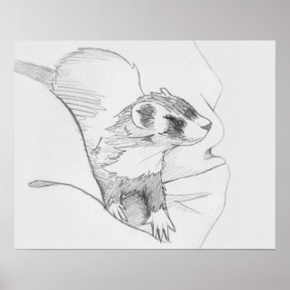 "Siduri" Ferret Drawing Poster