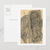 Siege van Vicksburg - Panoramische Kaart voor de b (Voorkant / Achterkant)