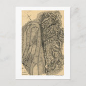 Siege van Vicksburg - Panoramische Kaart voor de b (Voorkant)