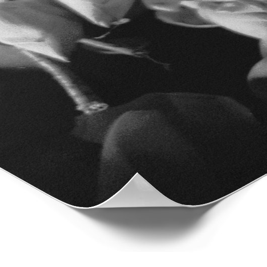 Siem Reap Cambodia, Lotus Flowers Poster (Hoek)