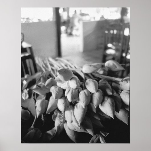 Siem Reap Cambodia, Lotus Flowers Poster (Voorkant)