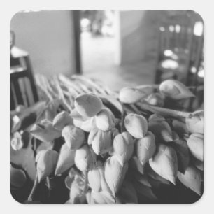 Siem Reap Cambodja, Lotusbloemen Vierkante Sticker