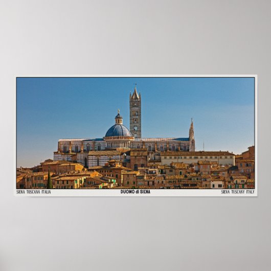 Siena - Duomo di Siena Poster (Voorkant)