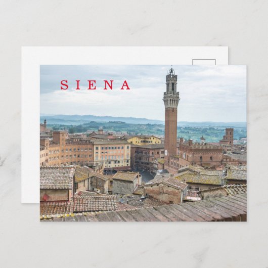 Siena Piazza del Campo uitzicht briefkaart (Voorkant / Achterkant)