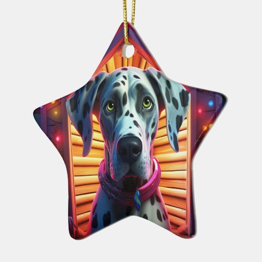 Sieraad Keramisch Ornament (Links)