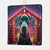 Sieraad Keramisch Ornament (Links)