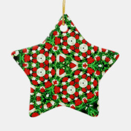 Sieraad Keramisch Ornament
