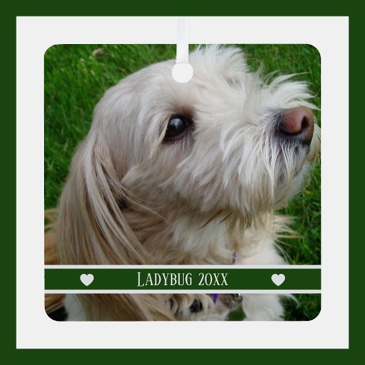 Sieraad met huisdierfoto en eigen naam en jaar metalen ornament