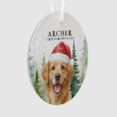 Sieraad Ornament (voorkant)