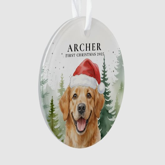 Sieraad Ornament (voorkant)