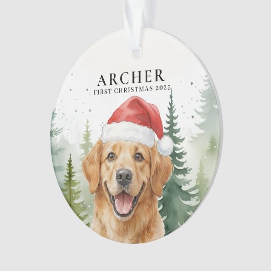 Sieraad Ornament (voorkant)