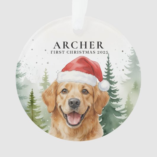 Sieraad Ornament (voorkant)