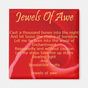 sieraden van awe magnet