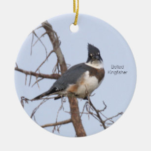Sieradenvogel met riemke kingfisher keramisch ornament
