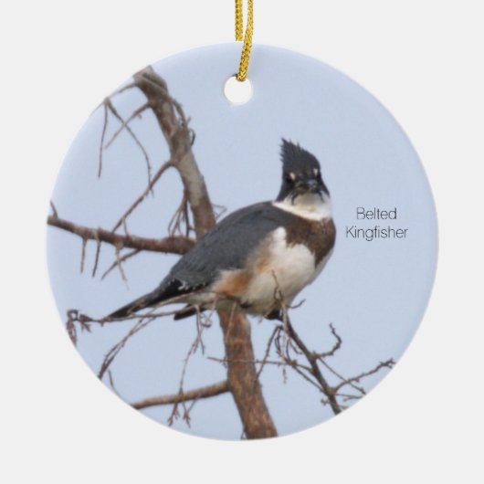 Sieradenvogel met riemke kingfisher keramisch ornament (Voorkant)