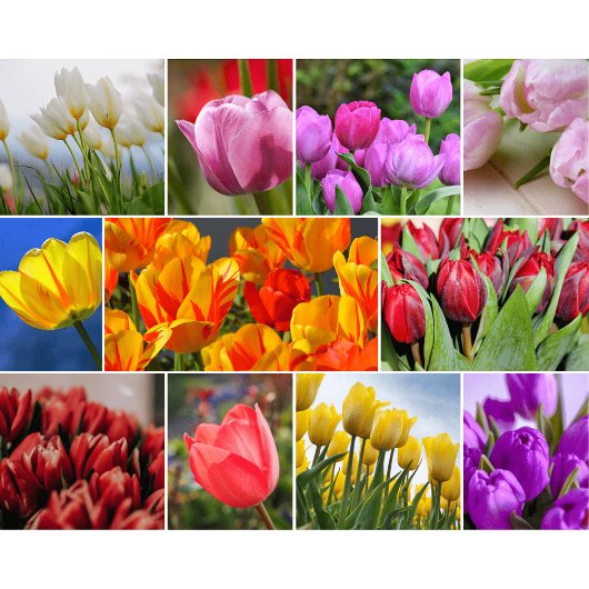 Sierbloemen glazen snijplank