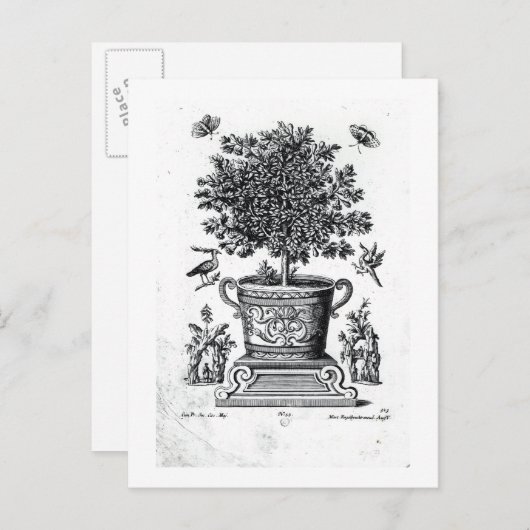 sierboom in een urn op een klein podium (engrav) briefkaart (Voorkant / Achterkant)