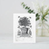 sierboom in een urn op een klein podium (engrav) briefkaart (Staand voorkant)