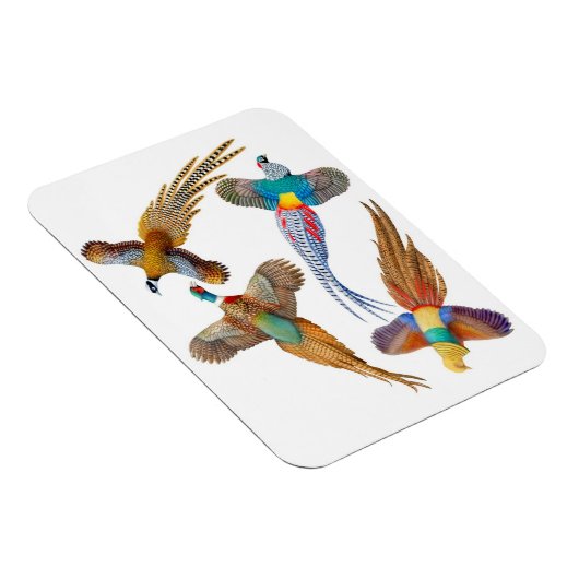 Sierdieren Wild Fazant Birds Premium Magnet Magneet (Rechterzijde)