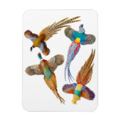 Sierdieren Wild Fazant Birds Premium Magnet Magneet (Verticaal)