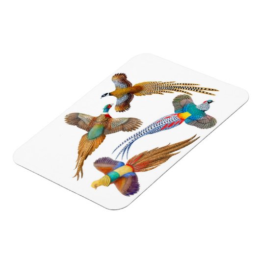 Sierdieren Wild Fazant Birds Premium Magnet Magneet (Linkerzijde)