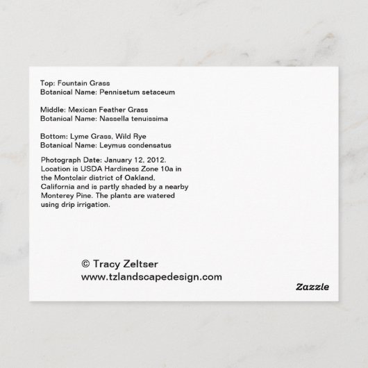 siergrassen briefkaart (Achterkant)