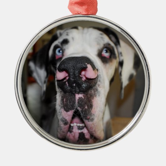 Sierhonden Metalen Ornament (Voorkant)