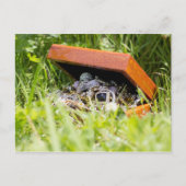 sierjuwelen | briefkaart (Voorkant)