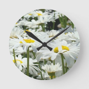Sierklokken Zomer Witte Madeliefjes Bloemen Ronde Klok