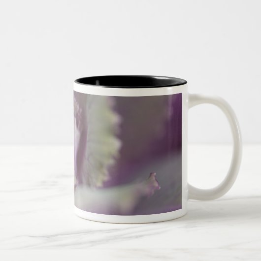 Sierkool Tweekleurige Koffiemok (Rechts)