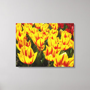 Sierkunst afdrukken Gele Tulp Bloemen Rood