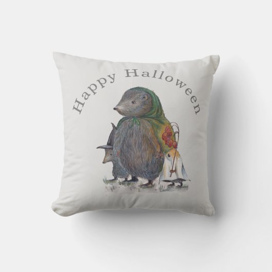 Sierkussen (Voorkant)