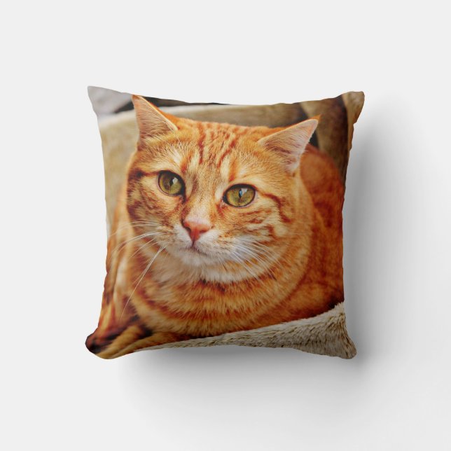 Sierkussen 16 x 16 inch (Voorkant)