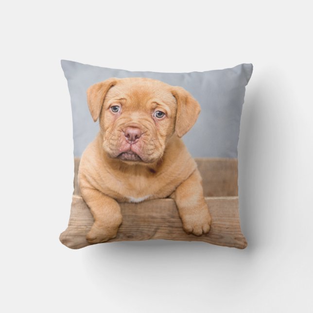 Sierkussen 16 x 16 inch (Voorkant)